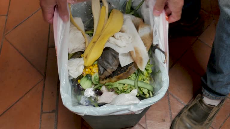 Trusted Fairlea, WV Junk Removal Services Experts